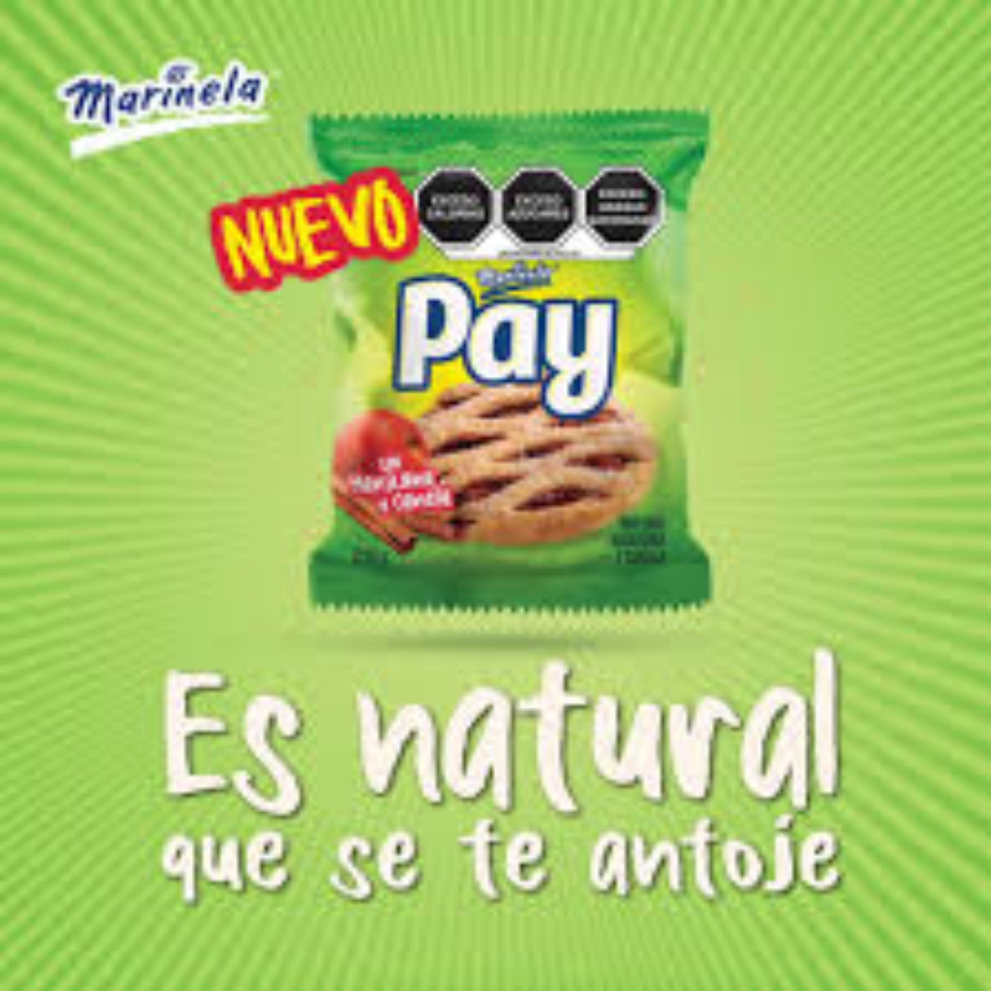 Pay con Manzana y Canela 55 g